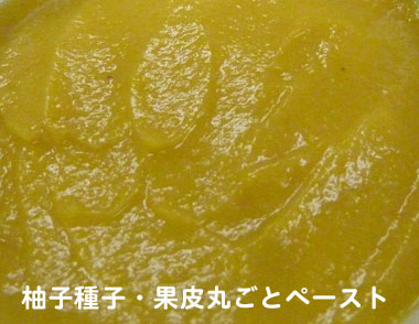 柚子種子果皮丸ごとペーストイメージ